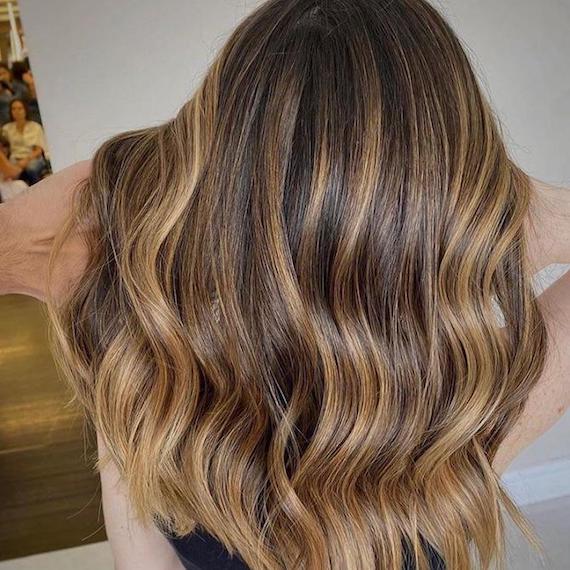 Highlights